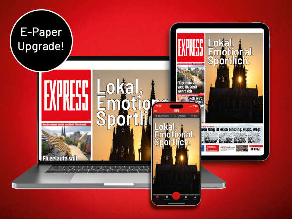 Express E-Paper freischalten